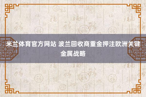 米兰体育官方网站 波兰回收商重金押注欧洲关键金属战略