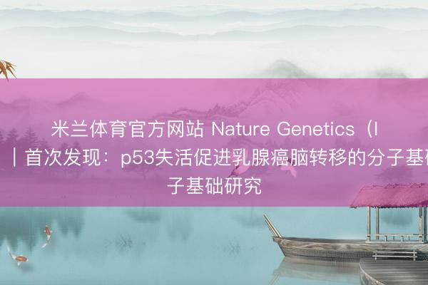 米兰体育官方网站 Nature Genetics（IF:29）｜首次发现：p53失活促进乳腺癌脑转移的分子基础研究